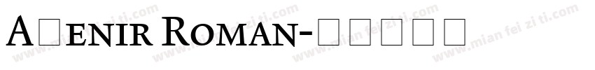 Aⅴenir Roman字体转换